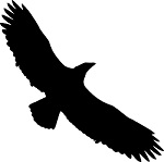 Ealing Eagles